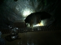 1313