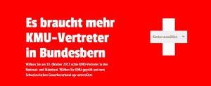 Schweizer Vertreter in Bundesbern